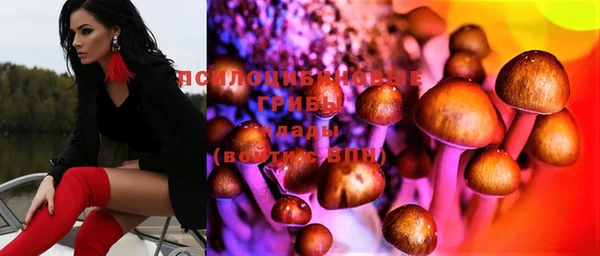 наркотики Вяземский