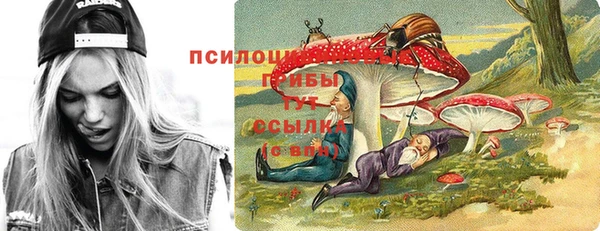 spice Горнозаводск