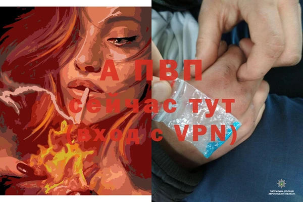 спайс Вязьма