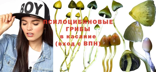 спайс Вязьма