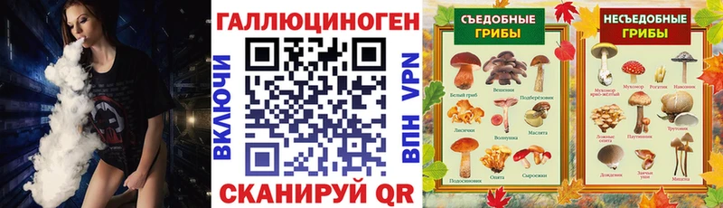 Галлюциногенные грибы Psilocybe  Купить  Карабулак 